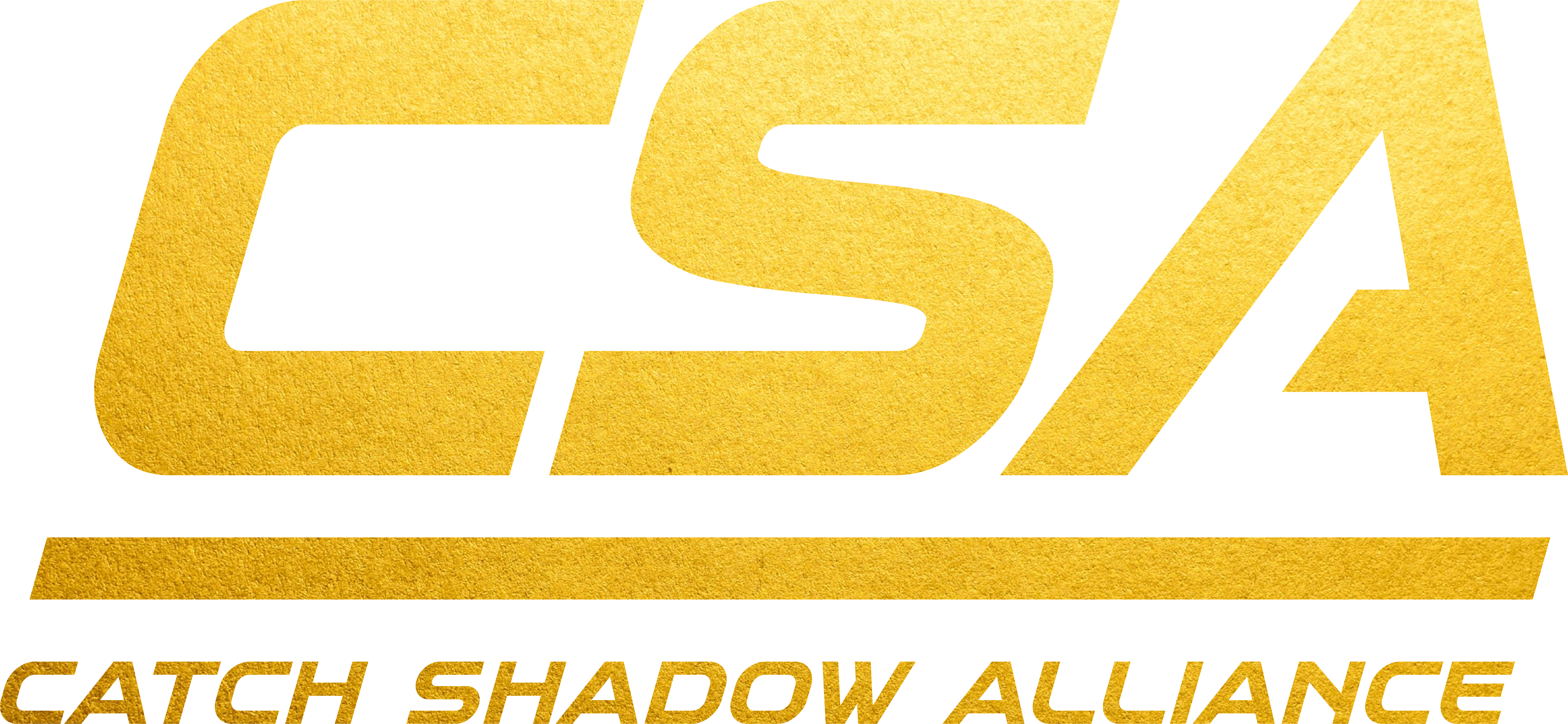 CSA Logo